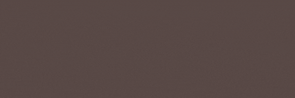 Site Web Top Starter